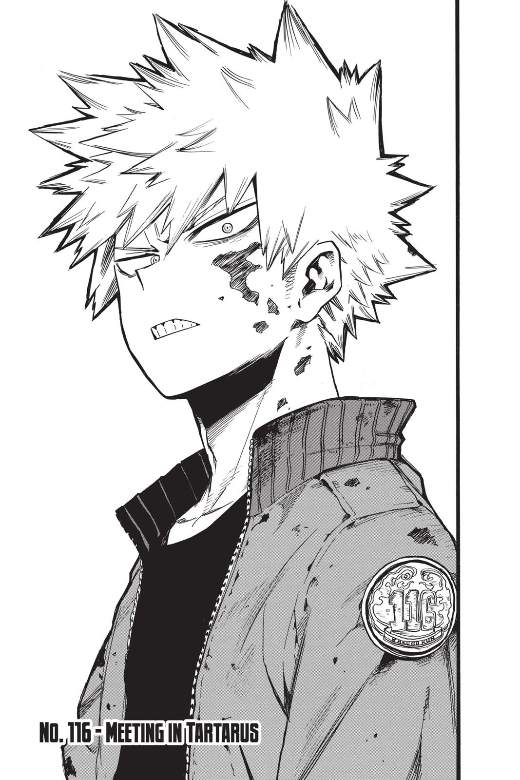 Read MyHeroAcademia Manga Online