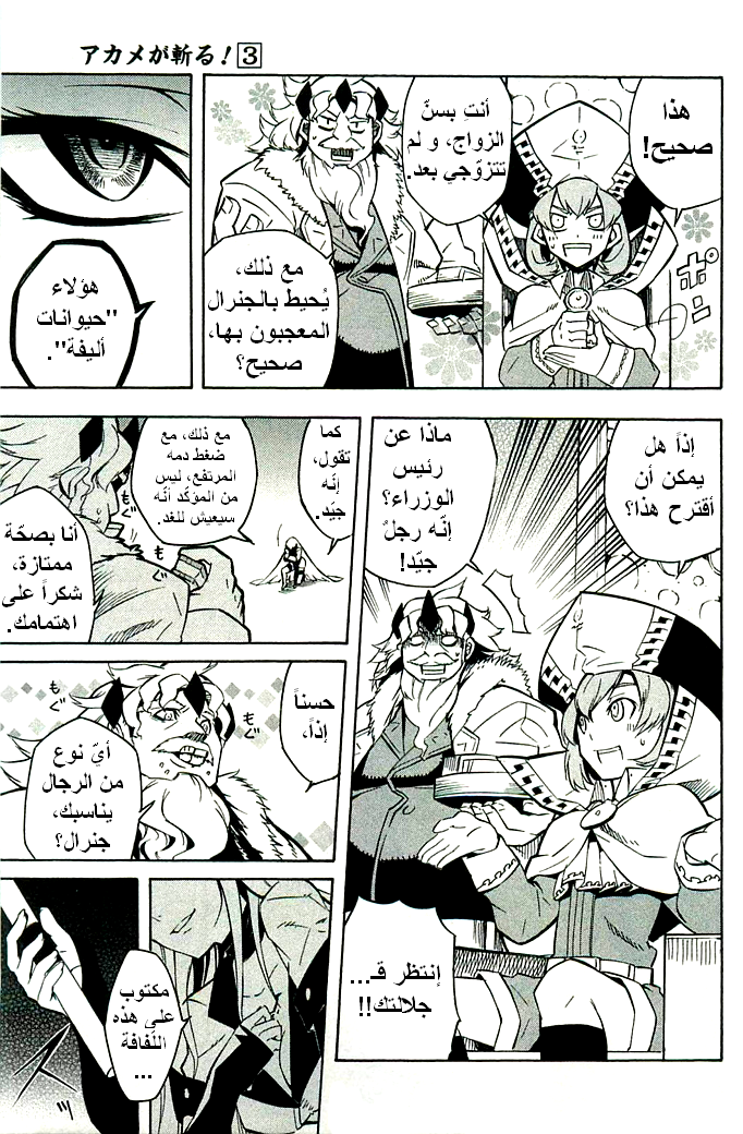 Read Akame ga Kill AR Manga Online