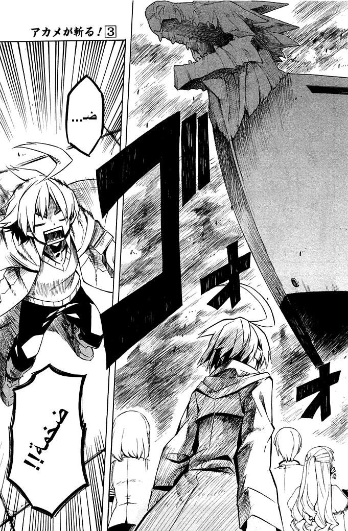 Read Akame ga Kill AR Manga Online