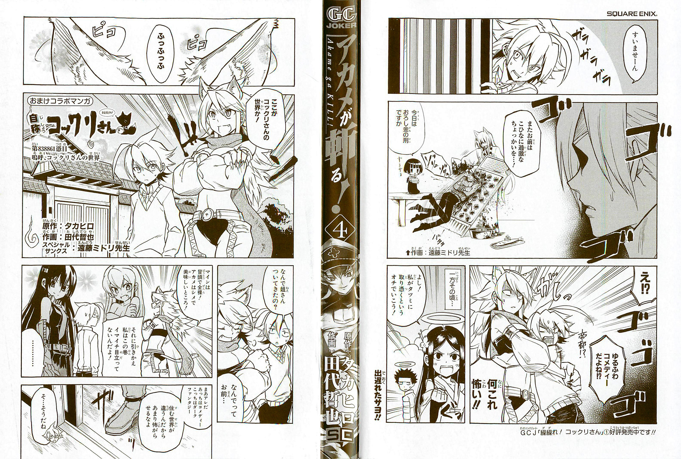 Read Akame ga Kill AR Manga Online