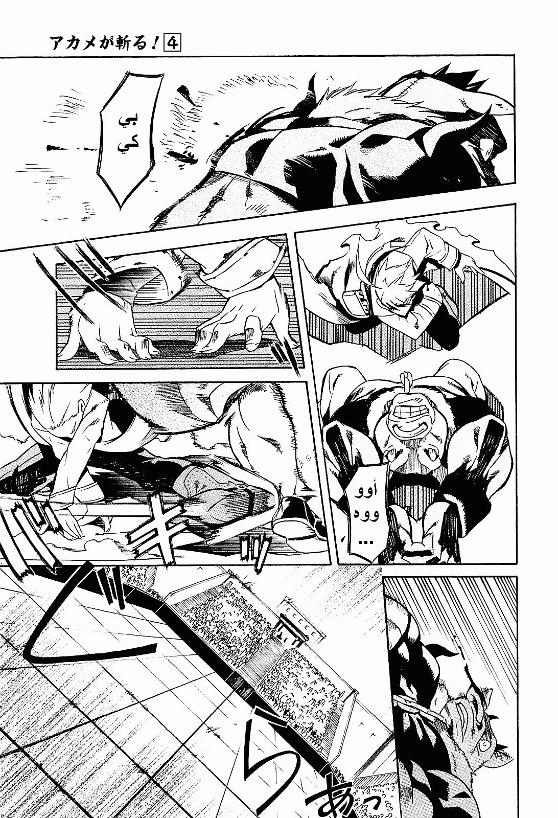 Read Akame ga Kill AR Manga Online