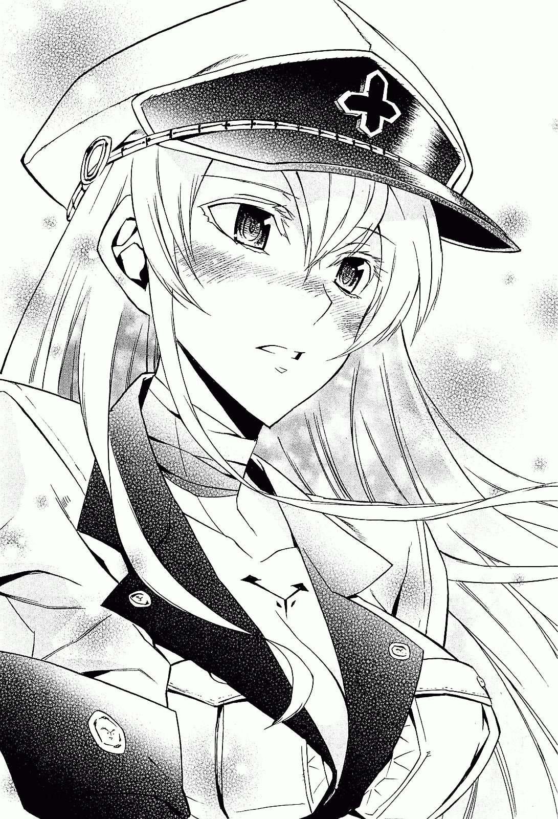 Read Akame ga Kill AR Manga Online