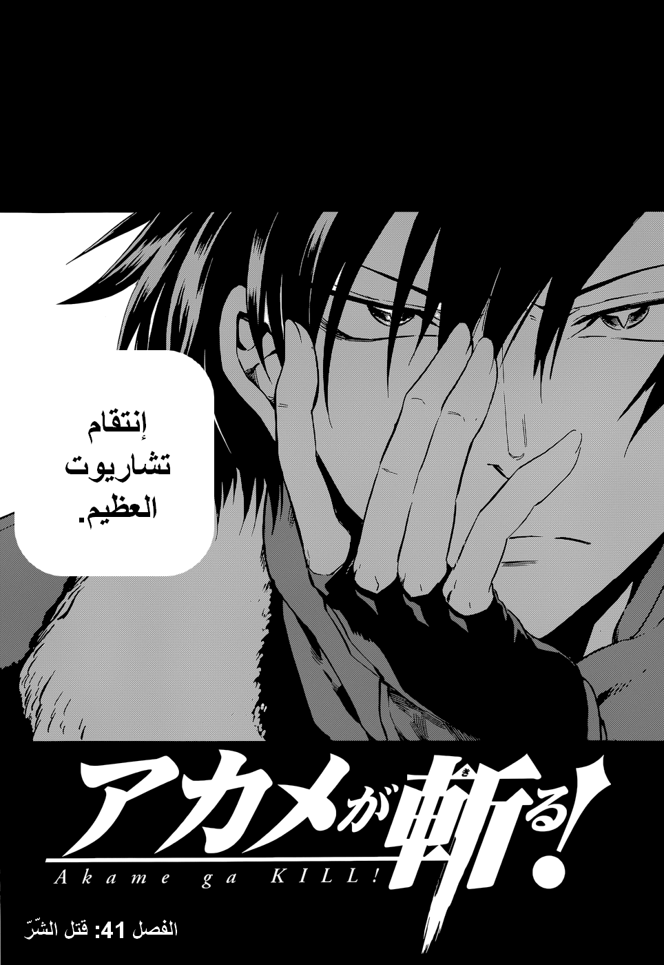 Read Akame ga Kill AR Manga Online