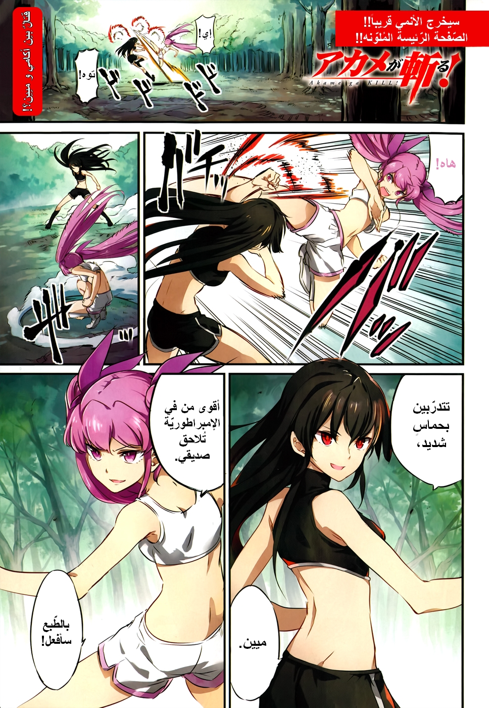Read Akame ga Kill AR Manga Online