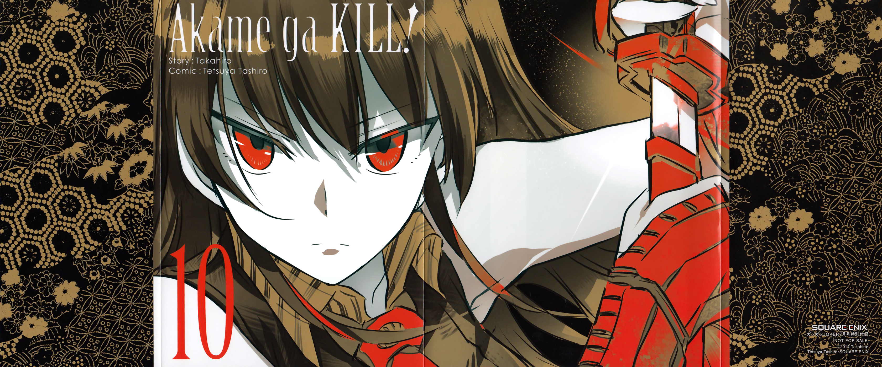Read Akame ga Kill AR Manga Online