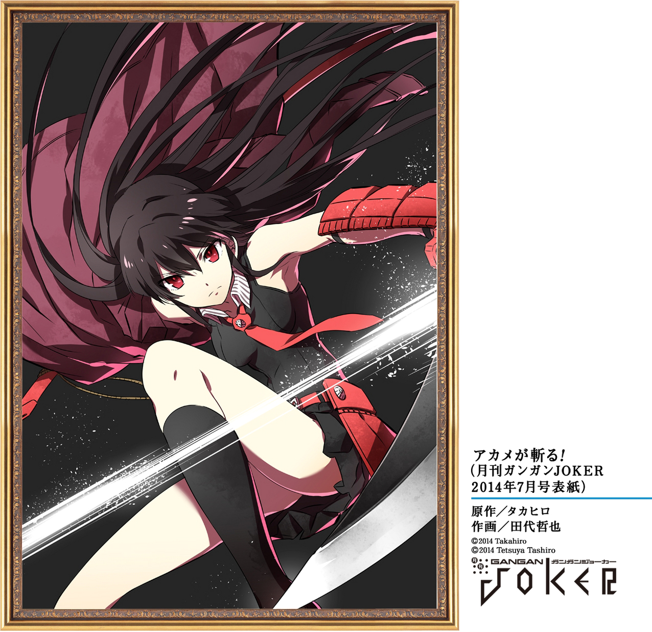 Read Akame ga Kill AR Manga Online