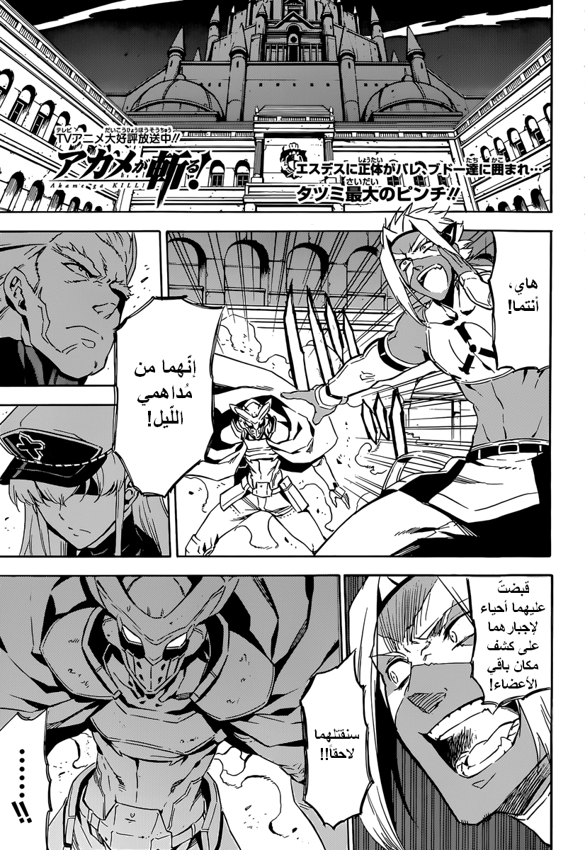 Read Akame ga Kill AR Manga Online