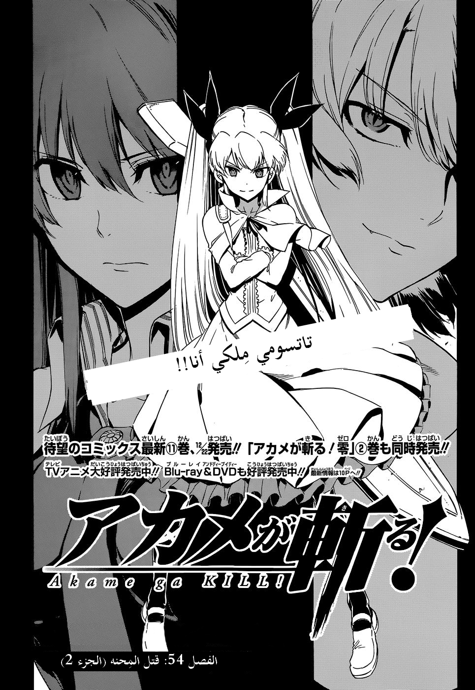 Read Akame ga Kill AR Manga Online