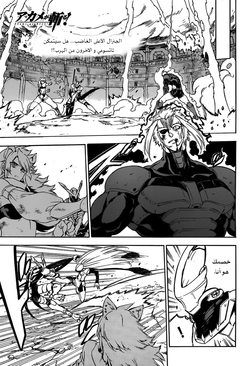 Read Akame ga Kill AR Manga Online