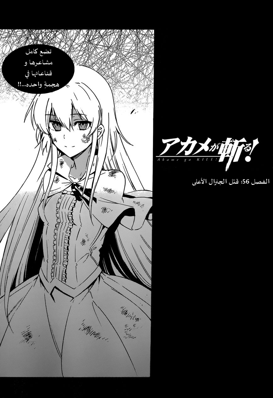 Read Akame ga Kill AR Manga Online