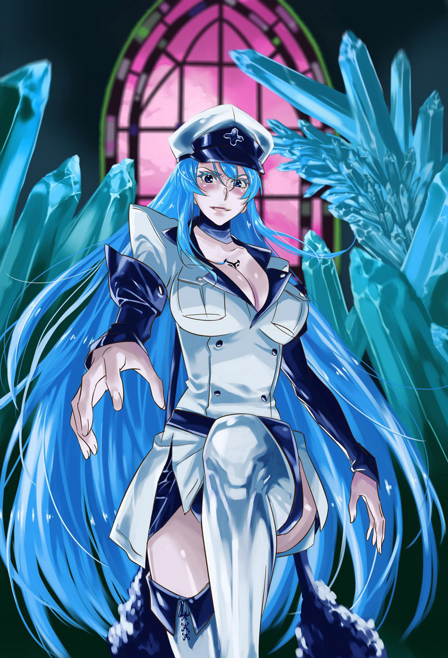 Read Akame ga Kill AR Manga Online