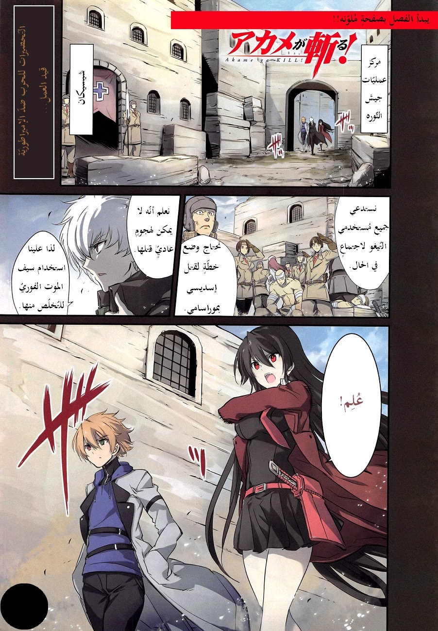 Read Akame ga Kill AR Manga Online
