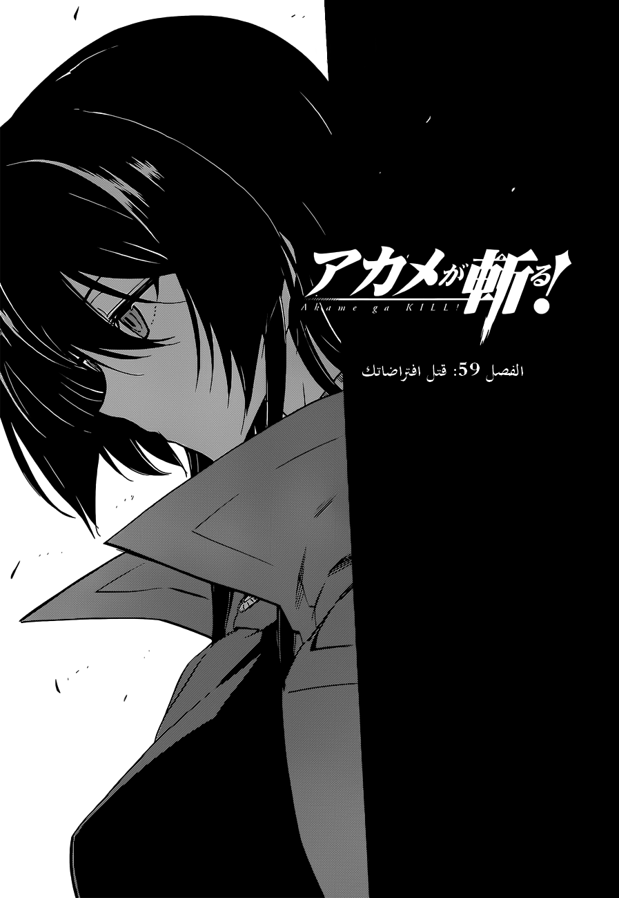 Read Akame ga Kill AR Manga Online
