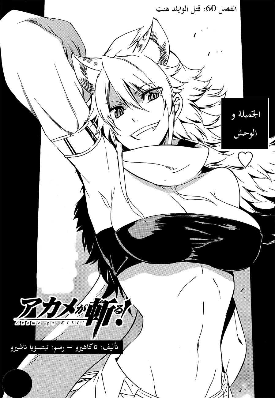 Read Akame ga Kill AR Manga Online