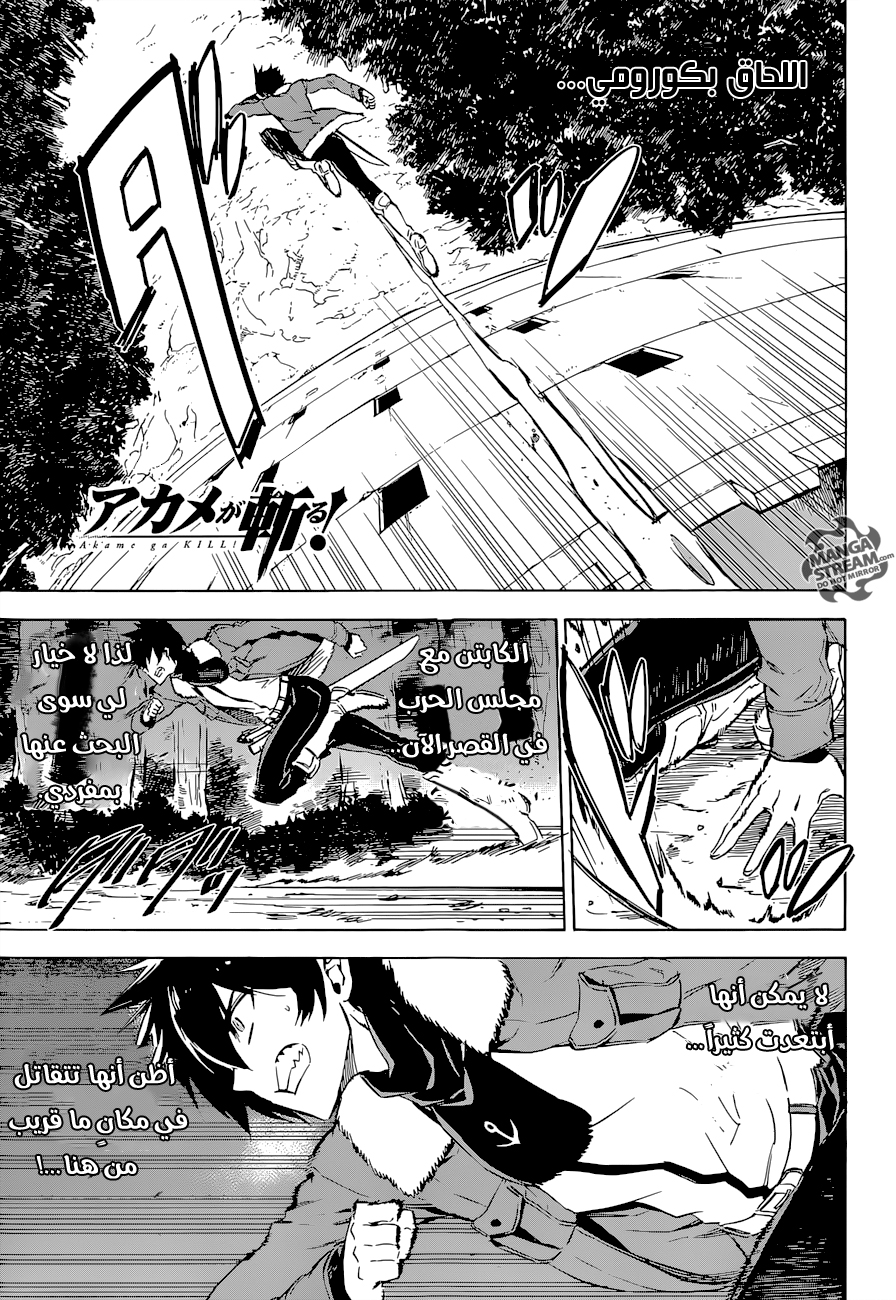 Read Akame ga Kill AR Manga Online