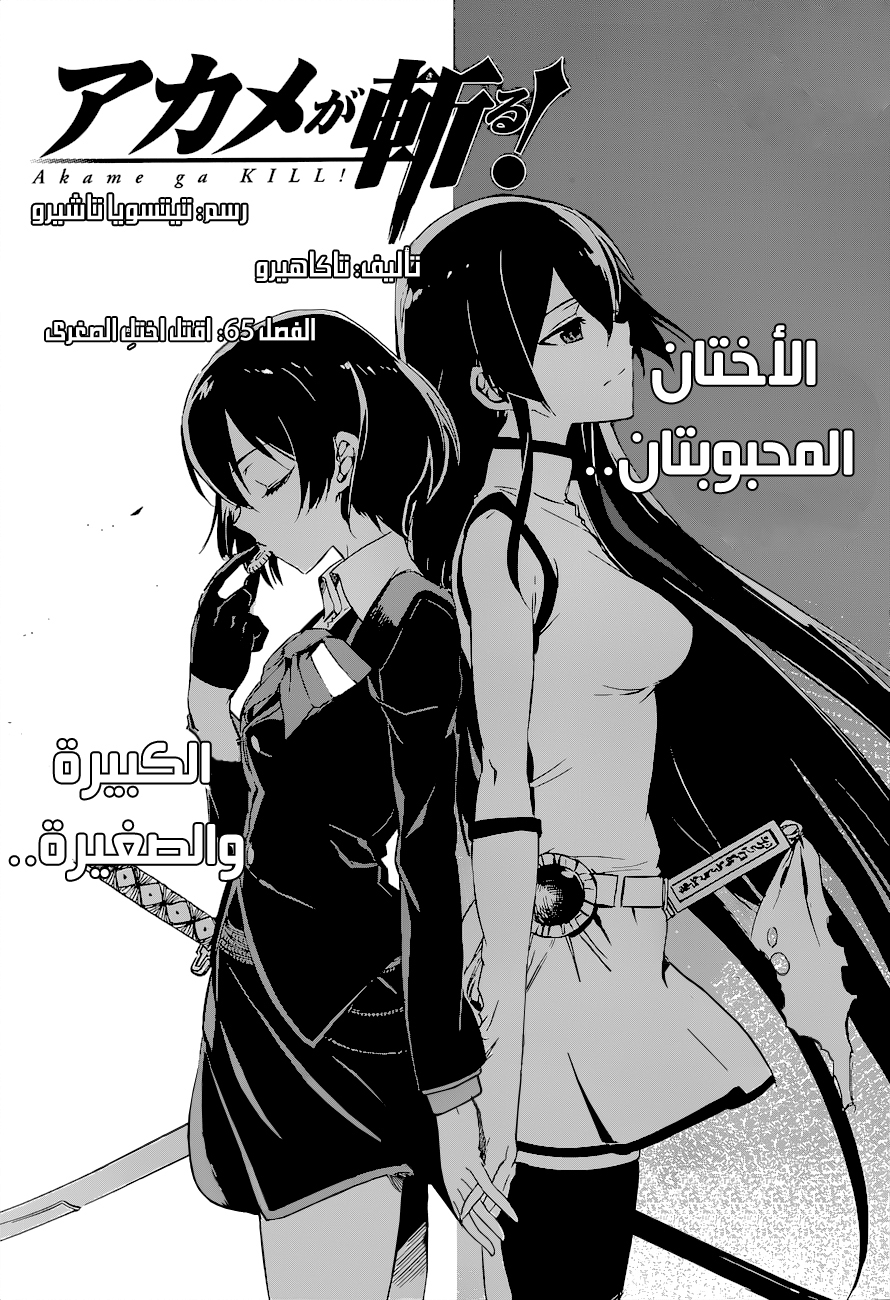 Read Akame ga Kill AR Manga Online