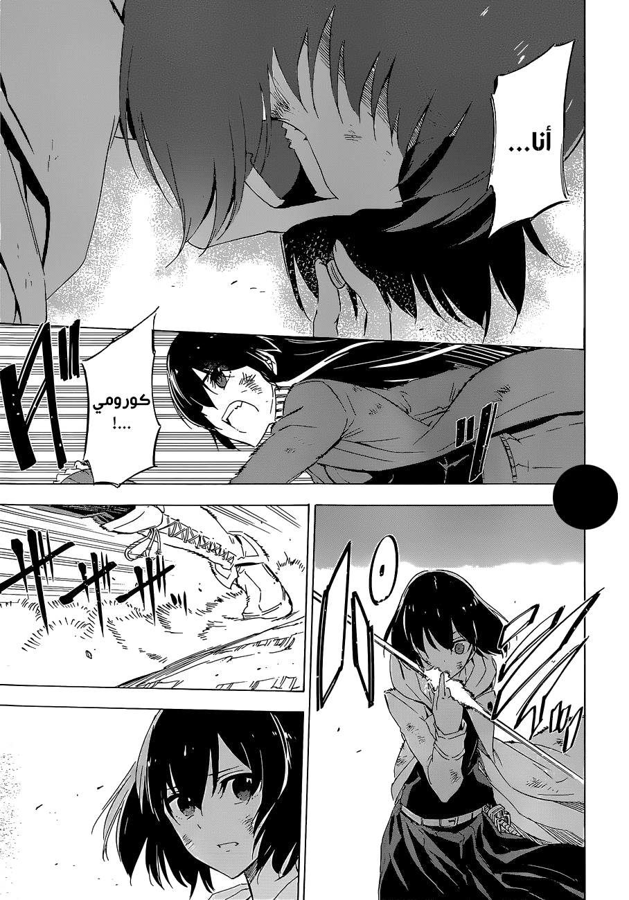 Read Akame ga Kill AR Manga Online