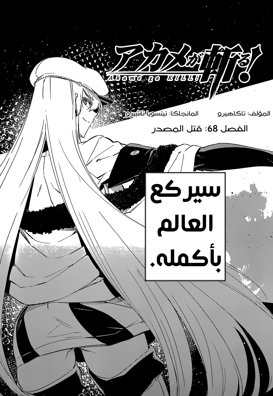 Read Akame ga Kill AR Manga Online