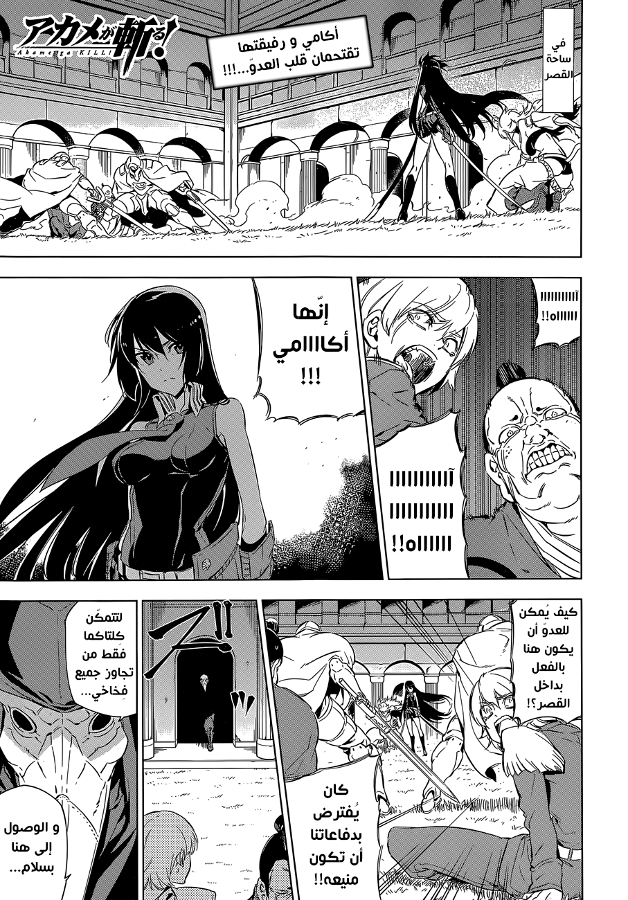 Read Akame ga Kill AR Manga Online