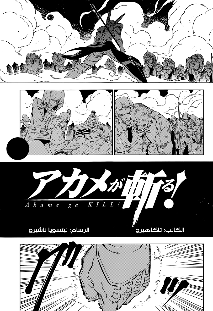 Read Akame ga Kill AR Manga Online