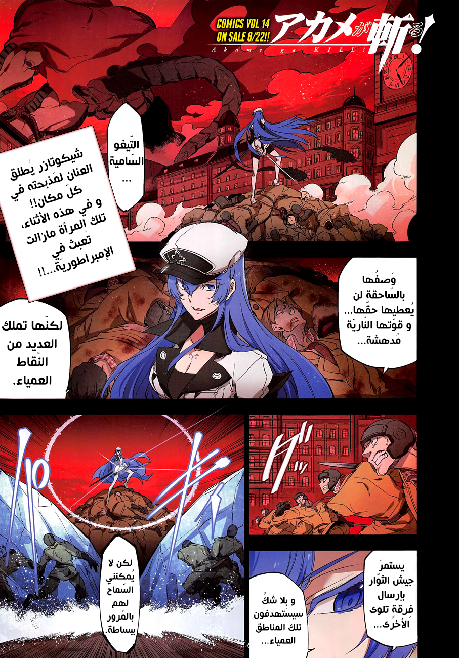 Read Akame ga Kill AR Manga Online