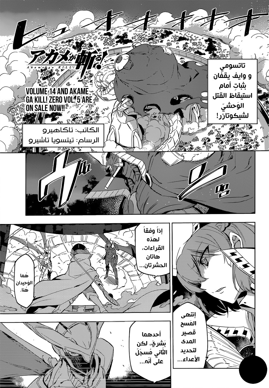 Read Akame ga Kill AR Manga Online
