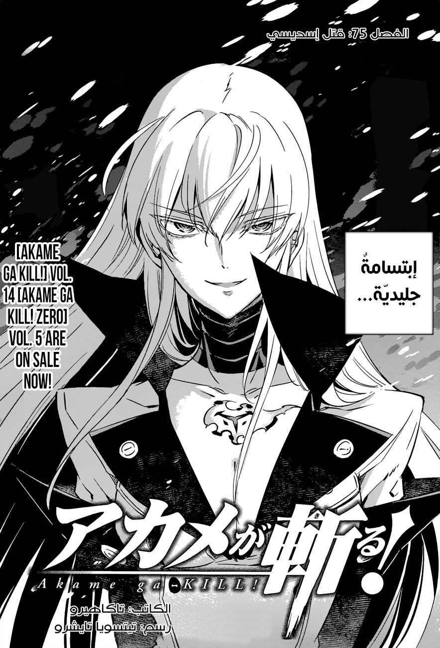Read Akame ga Kill AR Manga Online