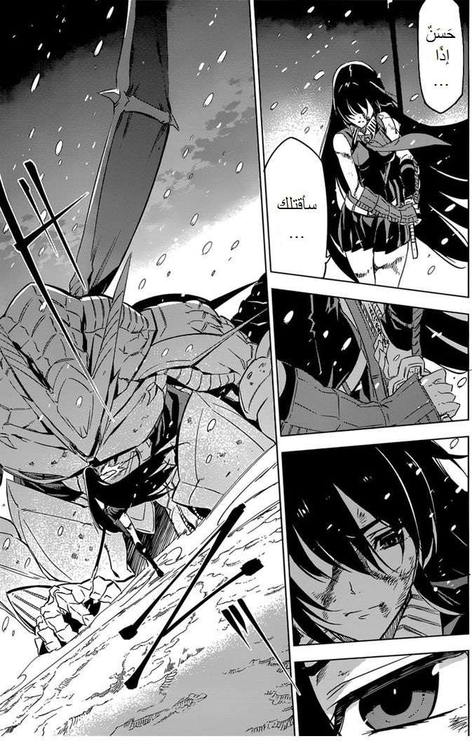 Read Akame ga Kill AR Manga Online