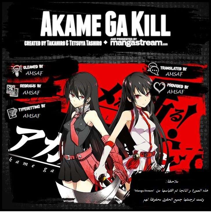 Read Akame ga Kill AR Manga Online