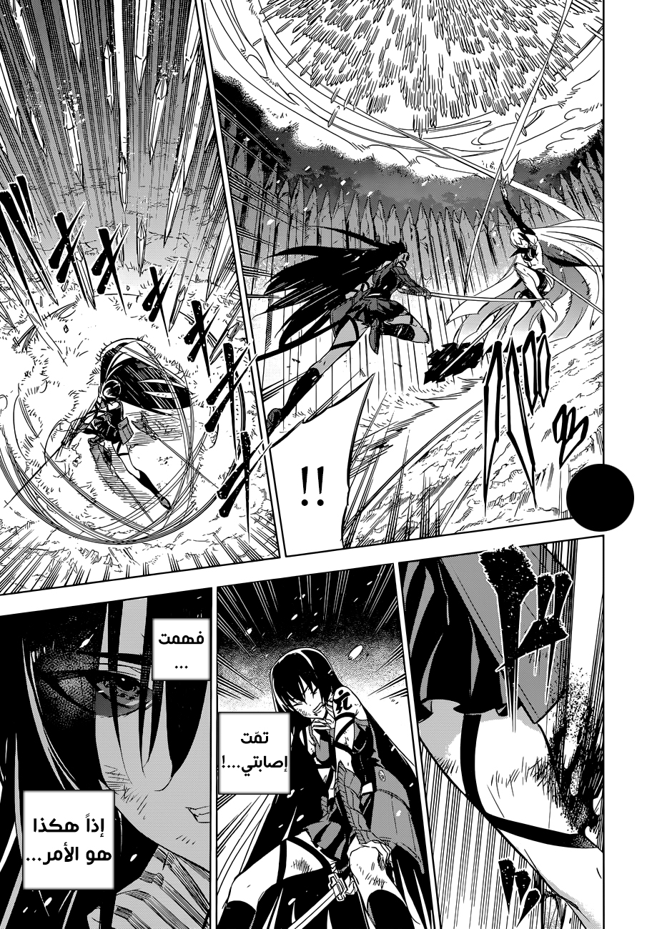 Read Akame ga Kill AR Manga Online