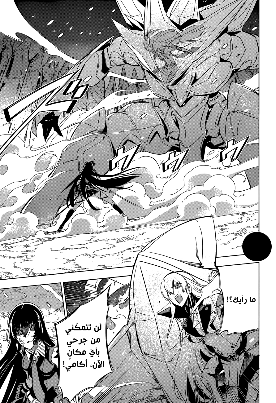 Read Akame ga Kill AR Manga Online