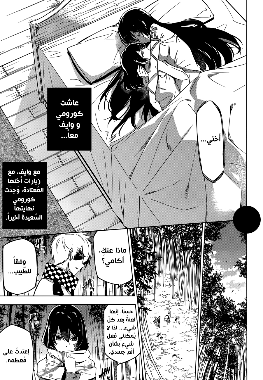 Read Akame ga Kill AR Manga Online