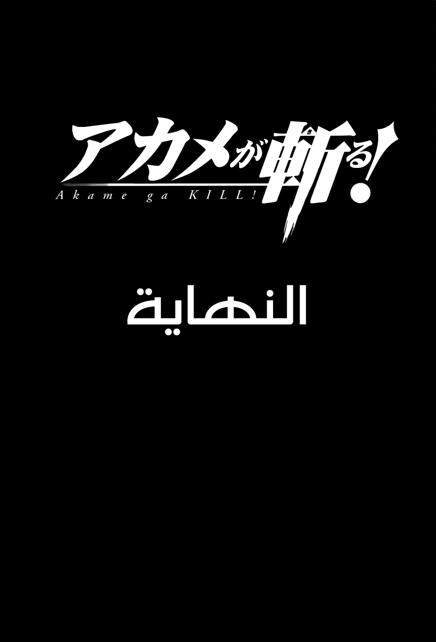 Read Akame ga Kill AR Manga Online