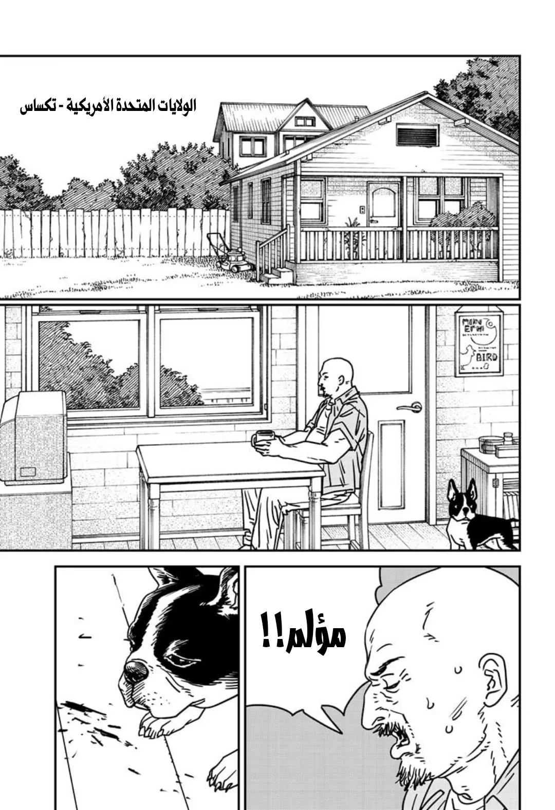 Read Chainsaw Man AR Manga Online