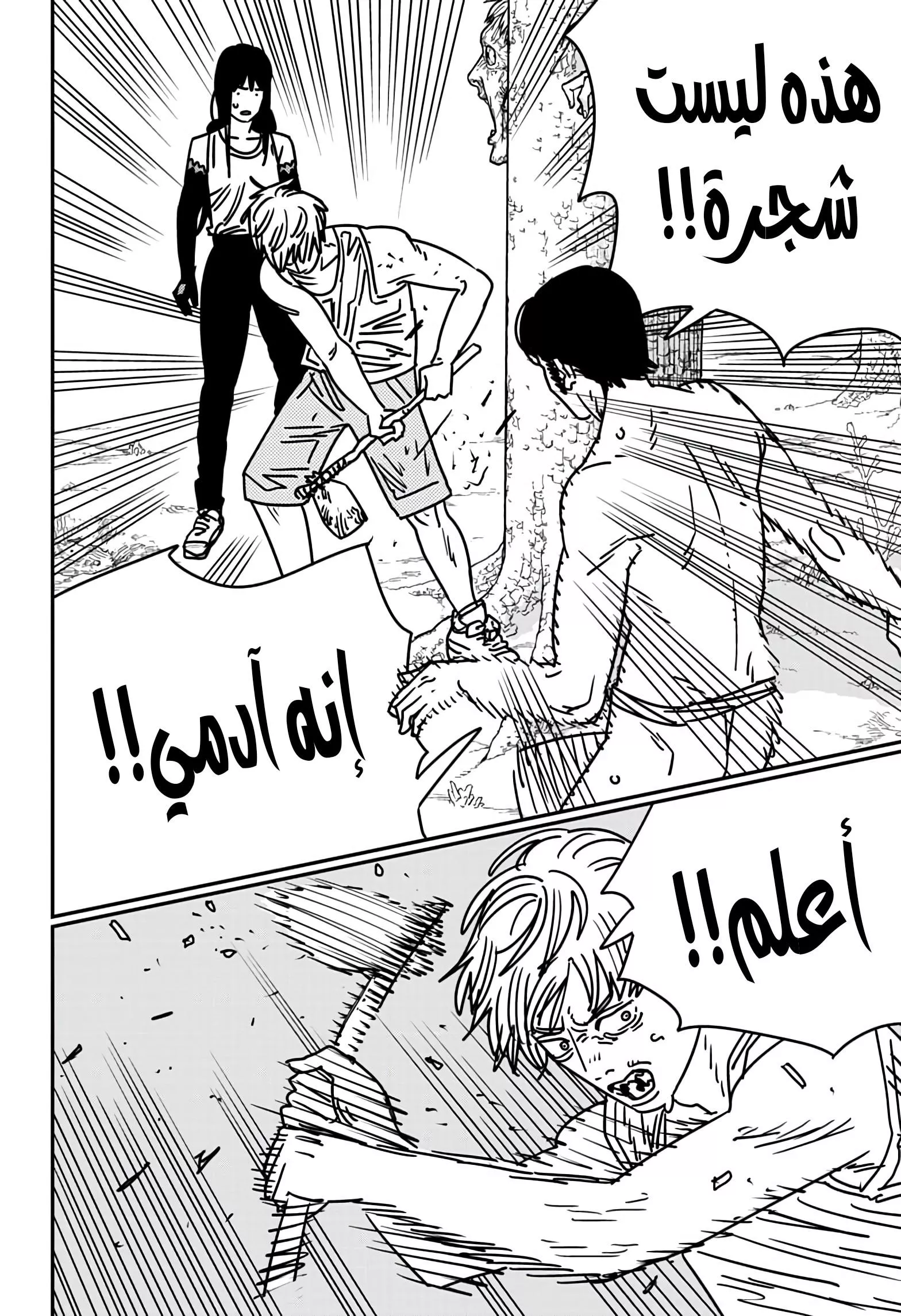 Read Chainsaw Man AR Manga Online