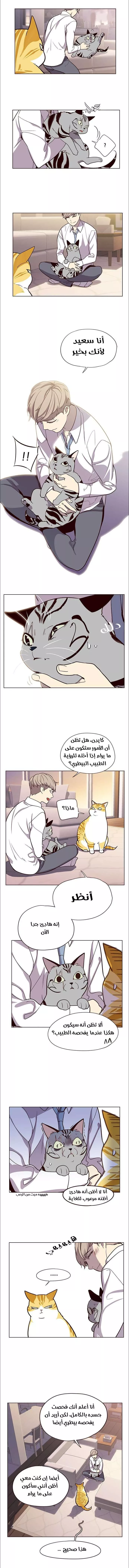 Read Eleceed AR Manga Online