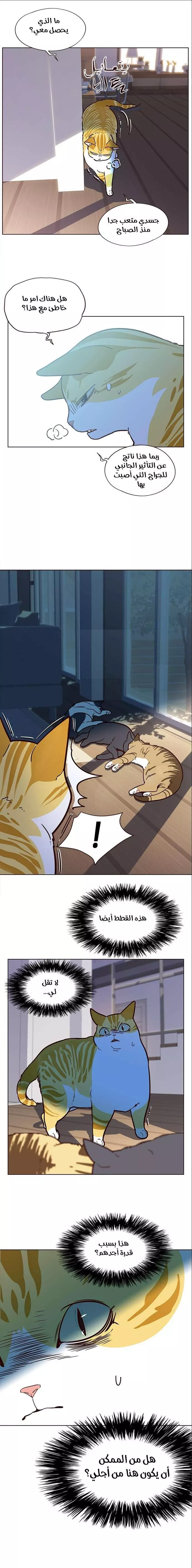 Read Eleceed AR Manga Online