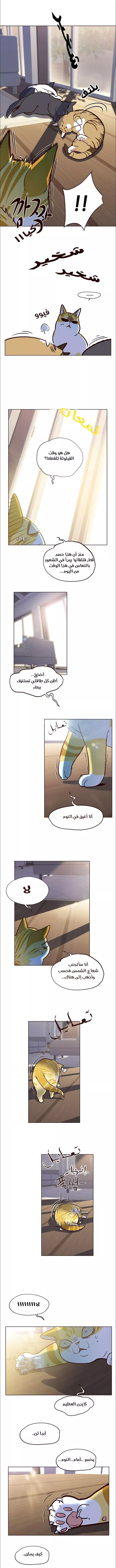 Read Eleceed AR Manga Online