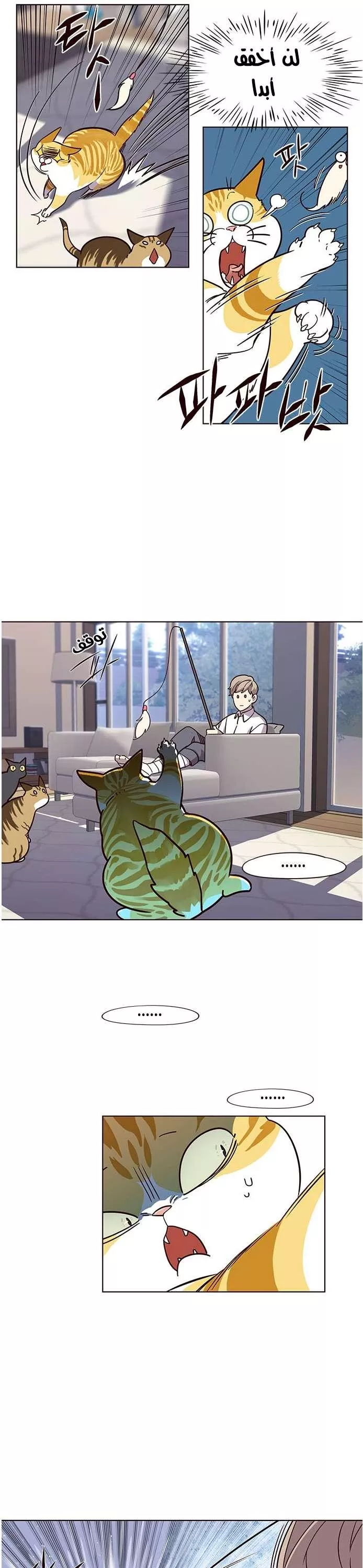 Read Eleceed AR Manga Online