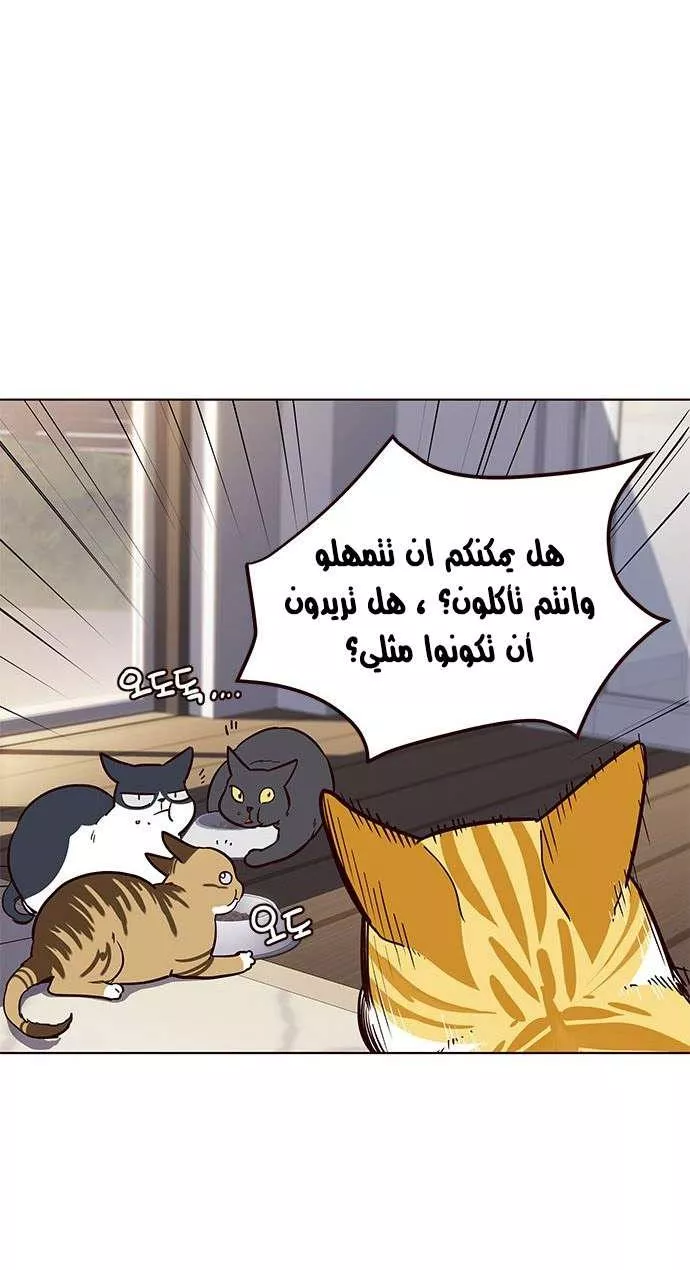 Read Eleceed AR Manga Online