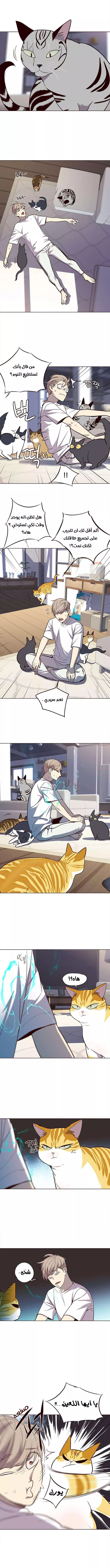 Read Eleceed AR Manga Online