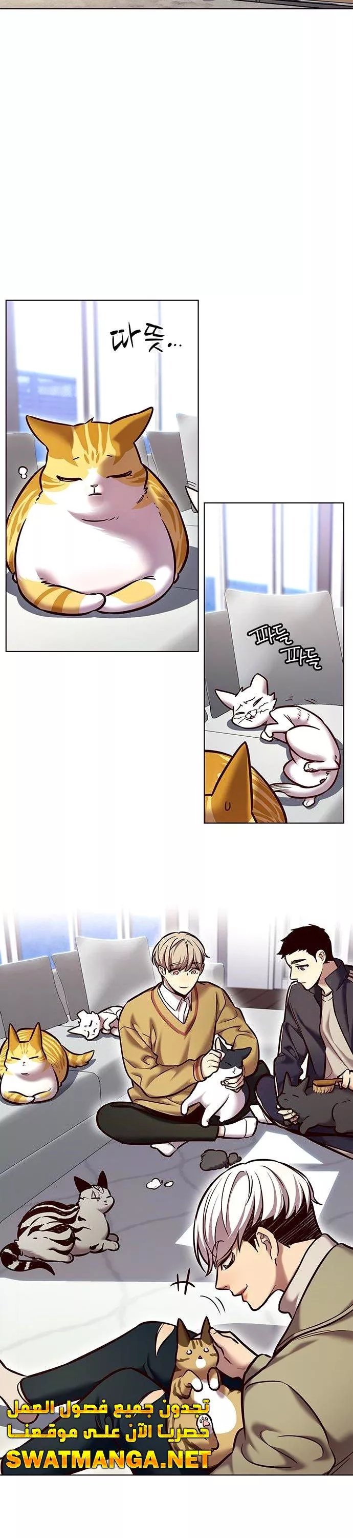 Read Eleceed AR Manga Online