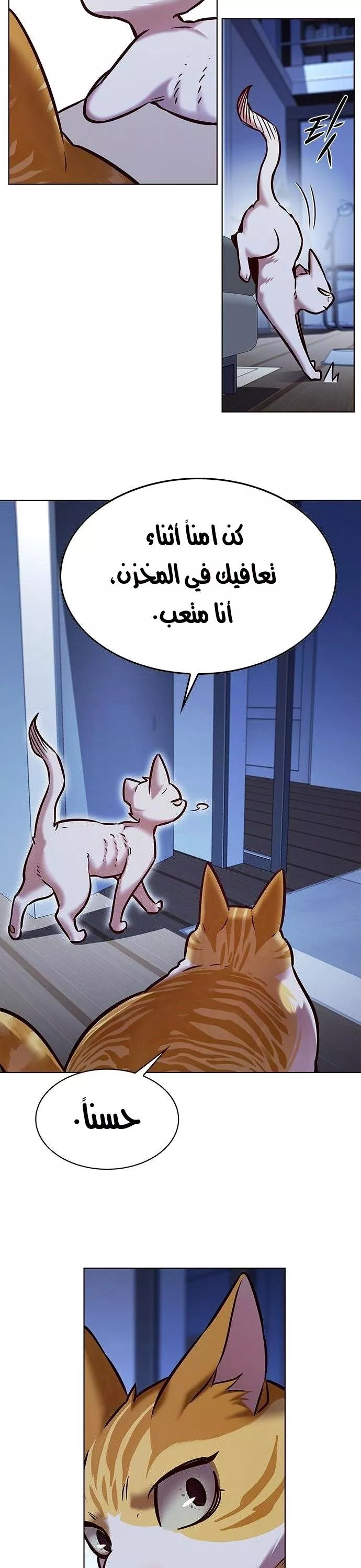 Read Eleceed AR Manga Online