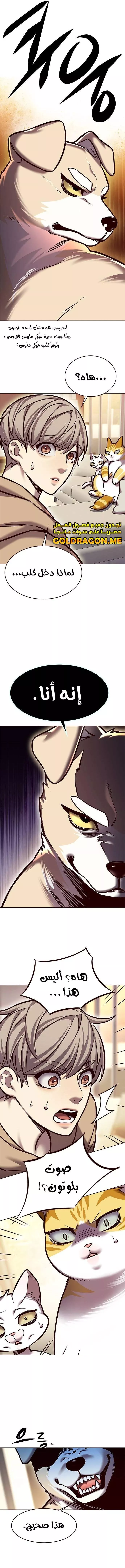 Read Eleceed AR Manga Online