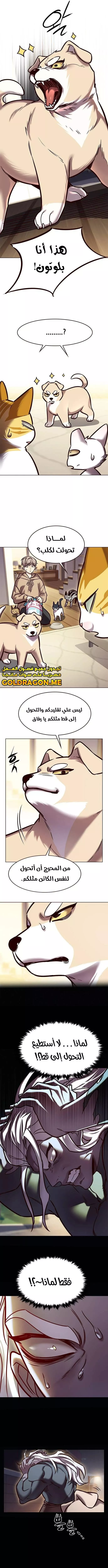 Read Eleceed AR Manga Online