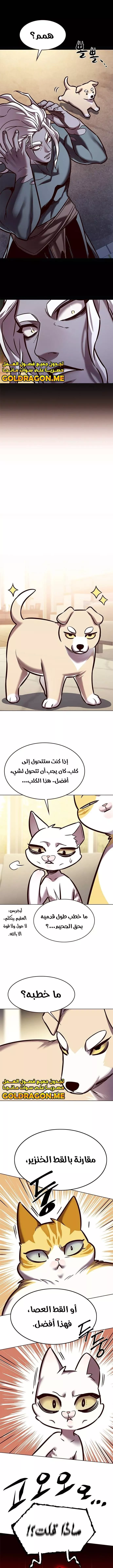 Read Eleceed AR Manga Online