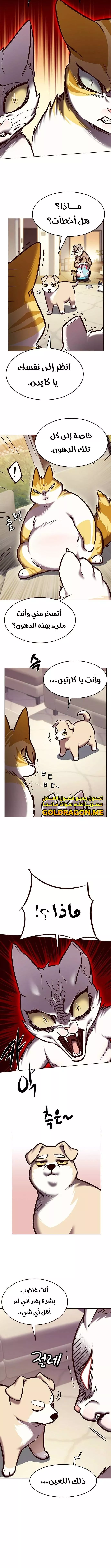 Read Eleceed AR Manga Online