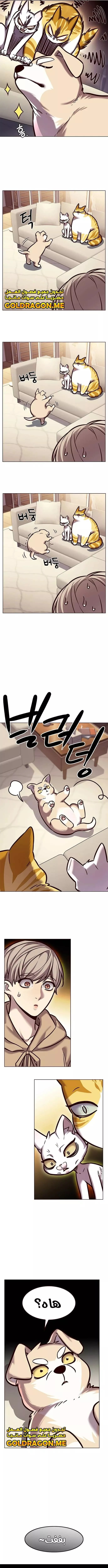 Read Eleceed AR Manga Online