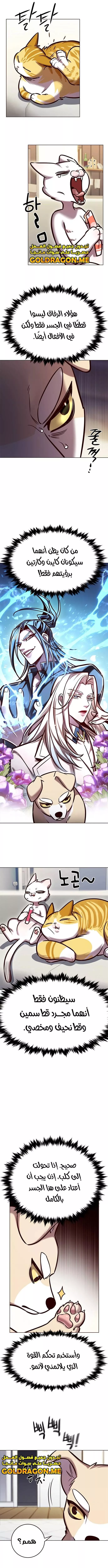 Read Eleceed AR Manga Online
