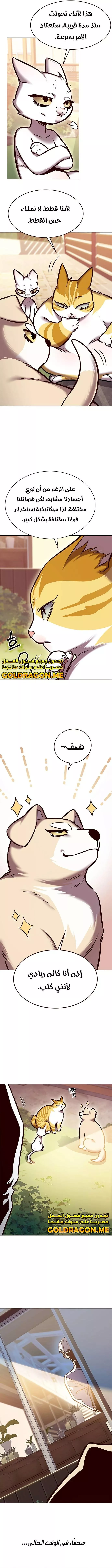 Read Eleceed AR Manga Online